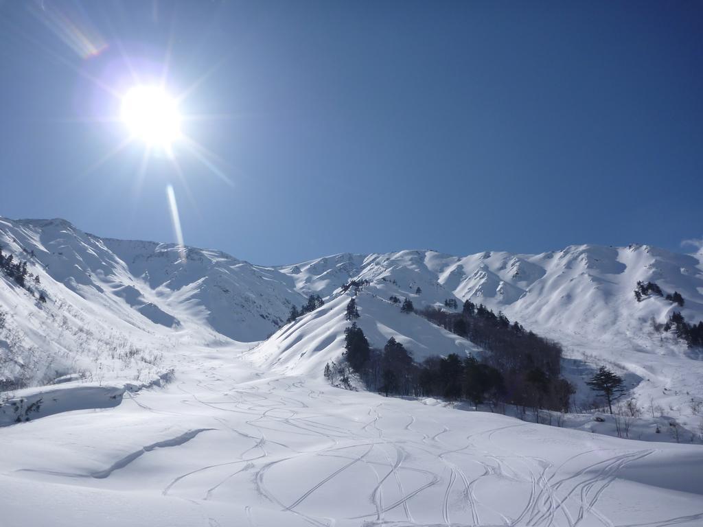 Zen Chalets Hakuba Eksteriør billede